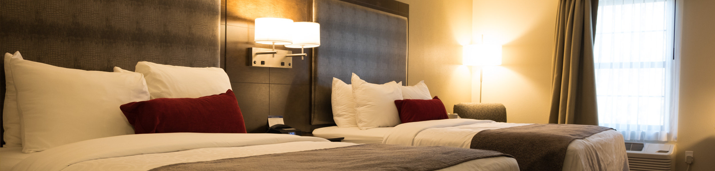 ServeICT_Pest_Control_Bed_Bug_Included_Full bed bugs wichita